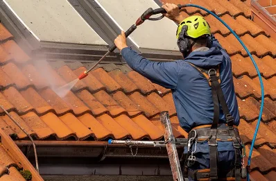 Démoussage et hydrofuge de toiture à Borce